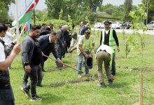 Xaçmaz rayonunda Ulu Öndər Heydər Əliyevin anadan olmasının 102-ci ildönümü ilə əlaqədər ağacəkmə aksiyası keçirilib (FOTO)