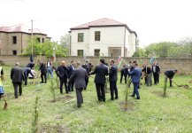 Xaçmaz rayonunda Ulu Öndər Heydər Əliyevin anadan olmasının 102-ci ildönümü ilə əlaqədər ağacəkmə aksiyası keçirilib (FOTO)
