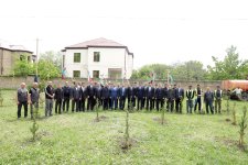 Xaçmaz rayonunda Ulu Öndər Heydər Əliyevin anadan olmasının 102-ci ildönümü ilə əlaqədər ağacəkmə aksiyası keçirilib (FOTO)