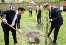 Xaçmaz rayonunda Ulu Öndər Heydər Əliyevin anadan olmasının 102-ci ildönümü ilə əlaqədər ağacəkmə aksiyası keçirilib (FOTO)