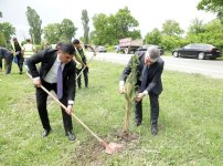 Xaçmaz rayonunda Ulu Öndər Heydər Əliyevin anadan olmasının 102-ci ildönümü ilə əlaqədər ağacəkmə aksiyası keçirilib (FOTO)