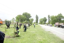 Xaçmaz rayonunda Ulu Öndər Heydər Əliyevin anadan olmasının 102-ci ildönümü ilə əlaqədər ağacəkmə aksiyası keçirilib (FOTO)