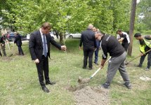 Xaçmaz rayonunda Ulu Öndər Heydər Əliyevin anadan olmasının 102-ci ildönümü ilə əlaqədər ağacəkmə aksiyası keçirilib (FOTO)