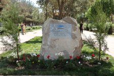"Bizim həyət" layihəsi çərçivəsində Şirvanda növbəti abadlıq işləri görülüb (FOTO)