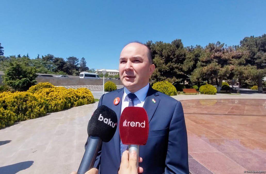 Azərbaycan İkinci Dünya Müharibəsində qazanılan qələbəyə böyük töhvə verib - Tacikistanlı səfir