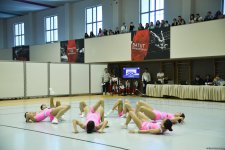 “Aerobika