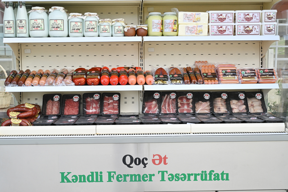 Prezident İlham Əliyev “Qoç Ət” Kəndli Fermer Təsərrüfatı MMC-nin Xocalının Xanabad kəndindəki heyvandarlıq kompleksinin açılışında iştirak edib (YENİLƏNİB) (FOTO)