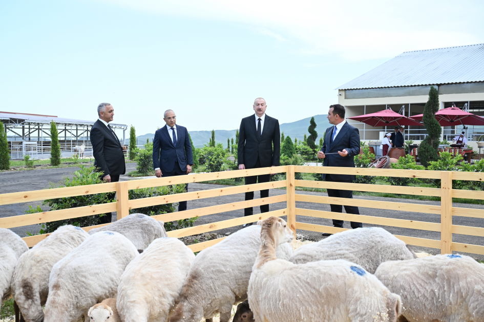 Prezident İlham Əliyev “Qoç Ət” Kəndli Fermer Təsərrüfatı MMC-nin Xocalının Xanabad kəndindəki heyvandarlıq kompleksinin açılışında iştirak edib (YENİLƏNİB) (FOTO)