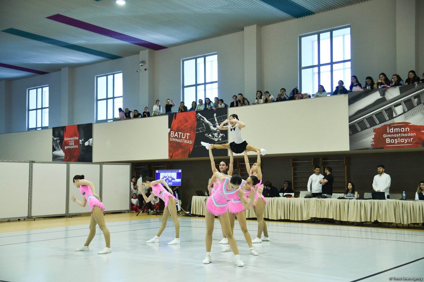 “Aerobika