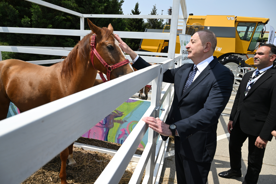 Prezident İlham Əliyev “InterFood Azerbaijan” və “Caspian Agro” sərgiləri ilə tanış olub (FOTO) (YENİLƏNİB)