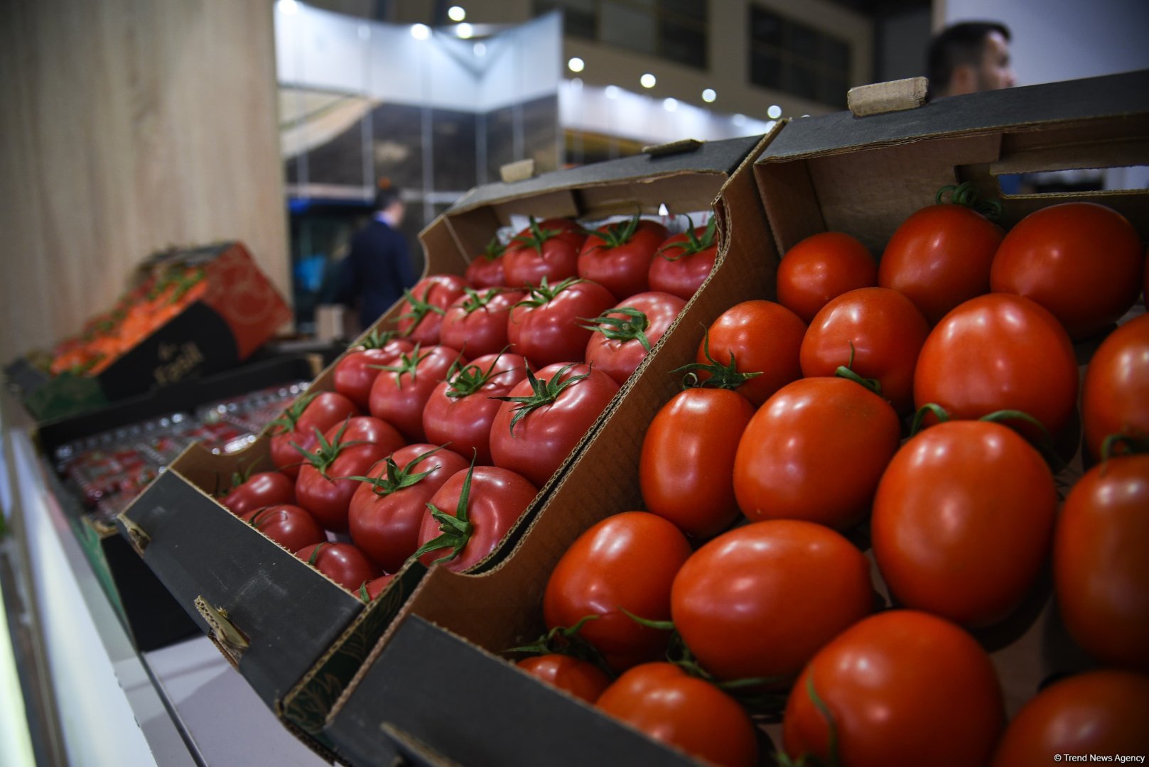 Bakıda “Caspian Agro” və “Interfood Azerbaijan” sərgiləri davam edir (FOTOREPORTAJ)