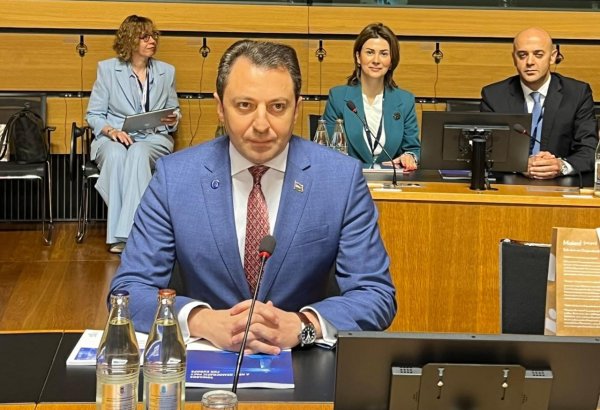Assambleyada Azərbaycanın qeyd-şərtsiz iştirakının bərpası tezliklə həll edilməlidir - Nazir müavini (FOTO)
