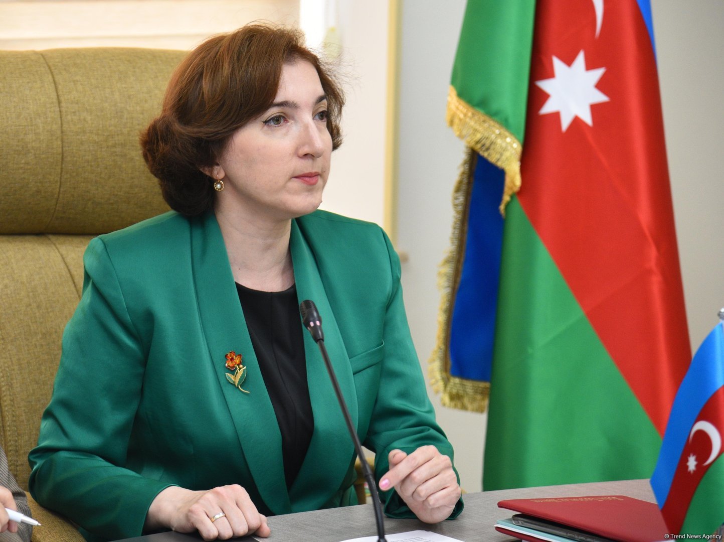 “Nəsillərarası həmrəylik  ailə münasibətləri və dayanıqlı inkişaf kontekstində” mövzusunda dəyirmi masa keçirilib (FOTO)