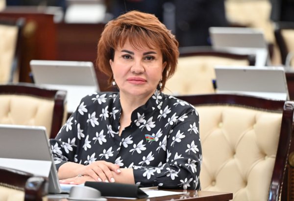 28 May Azərbaycan xalqının azadlıq və suverenlik uğrunda apardığı mübarizənin təntənəsidir – Deputat
