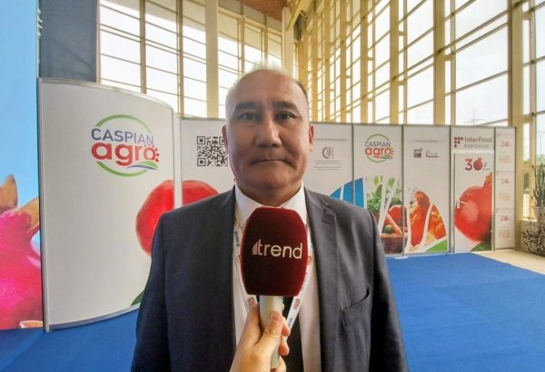 Qırğızıstanın dövlət müəssissəsinin direktoru akvakultura sahəsində Azərbaycanla əməkdaşlığın perspektivləri barədə danışıb (ÖZƏL)