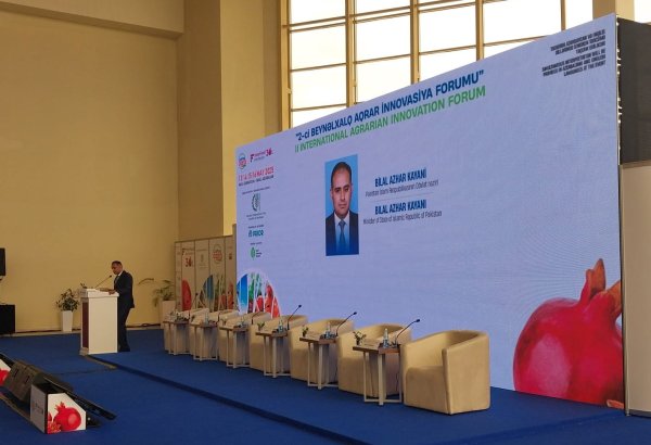 Pakistan azərbaycanlı investorlar üçün geniş imkanlar təklif edir - Nazir