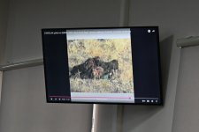 Məhkəmədə Ermənistan ordusunun Azərbaycan ərazilərini işğal etməsi, mülki əhalini qətlə yetirməsi faktları ilə bağlı ifadələr dinlənilib (FOTO)