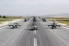 Azərbaycan təyyarələri beynəlxalq təlimdə "fil yürüşü" ediblər (FOTO)