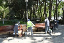 Paytaxtda növbəti genişmiqyaslı təmizlik işləri aparılıb (FOTO)
