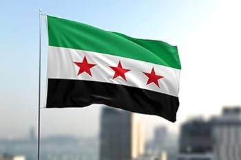 Suriya hökuməti silahlı qrupların müdafiə sisteminə inteqrasiyasını elan edib
