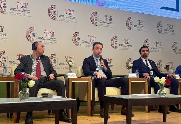 Gənclərin məşğulluq böhranının həllində təkcə özəl sektorun iştirakı yetərli deyil - "Generation Unlimited"