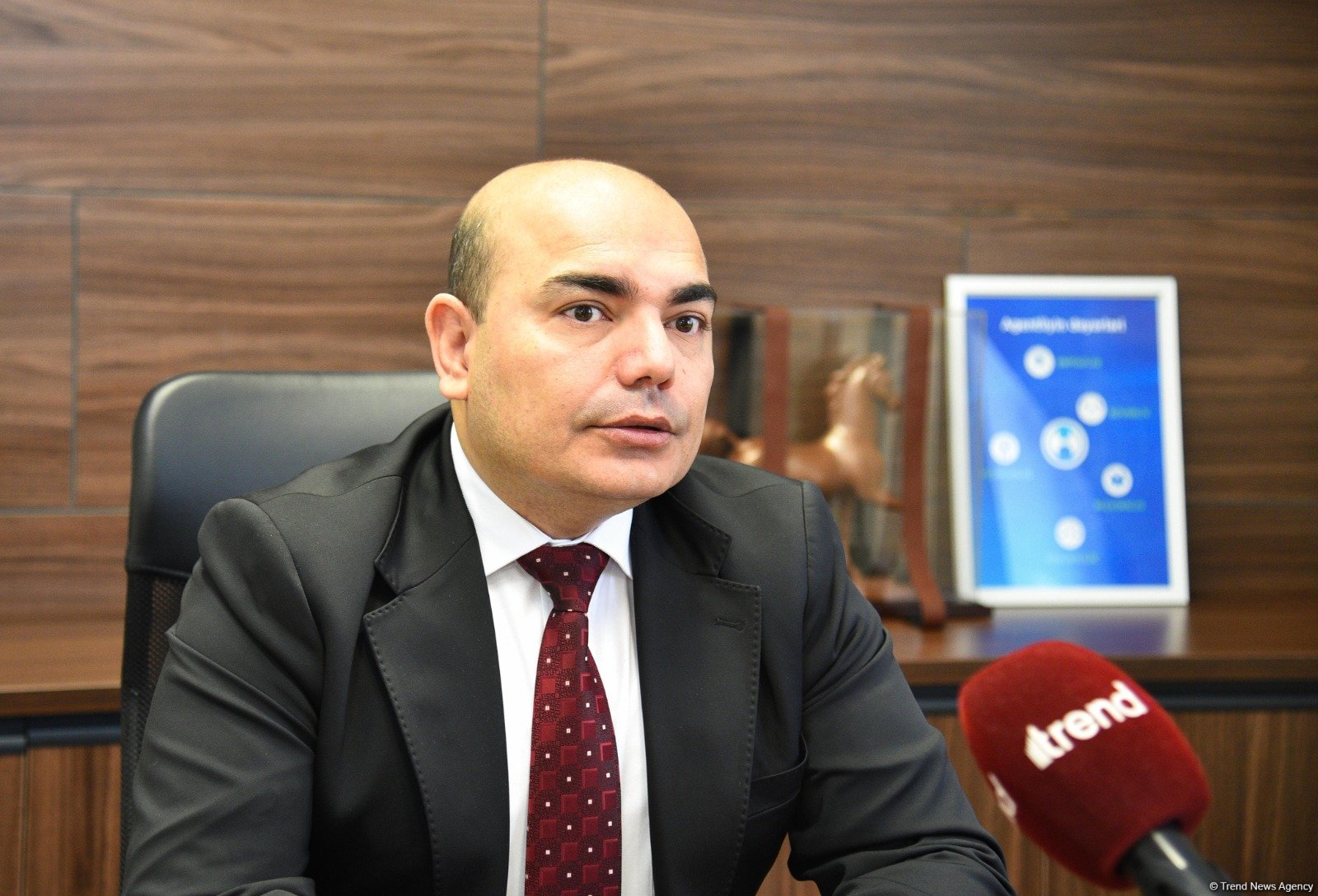 Azərbaycanda ən çox maliyyə vəsaiti hansı tibbi xidmətlərə sərf olunur ? - AÇIQLAMA