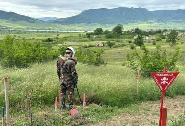 Qazaxın azad edilmiş kəndlərində aşkarlanmış minaların sayı açıqlanıb