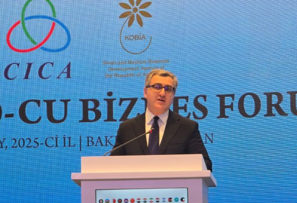 Azərbaycanın AQEM üzv ölkələrinə ixracı 1.2 milyard ABŞ dollarına çatıb