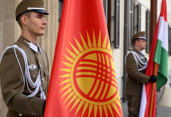 Bu ölkədə seçicilər onlayn səs verə biləcək