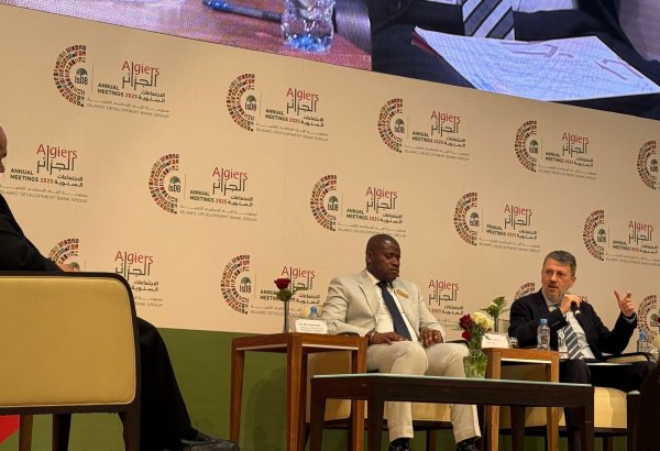 İxracın diversifikasiyası İİB-ə üzv ölkələr üçün strateji prioritetdir - ITFC rəhbəri