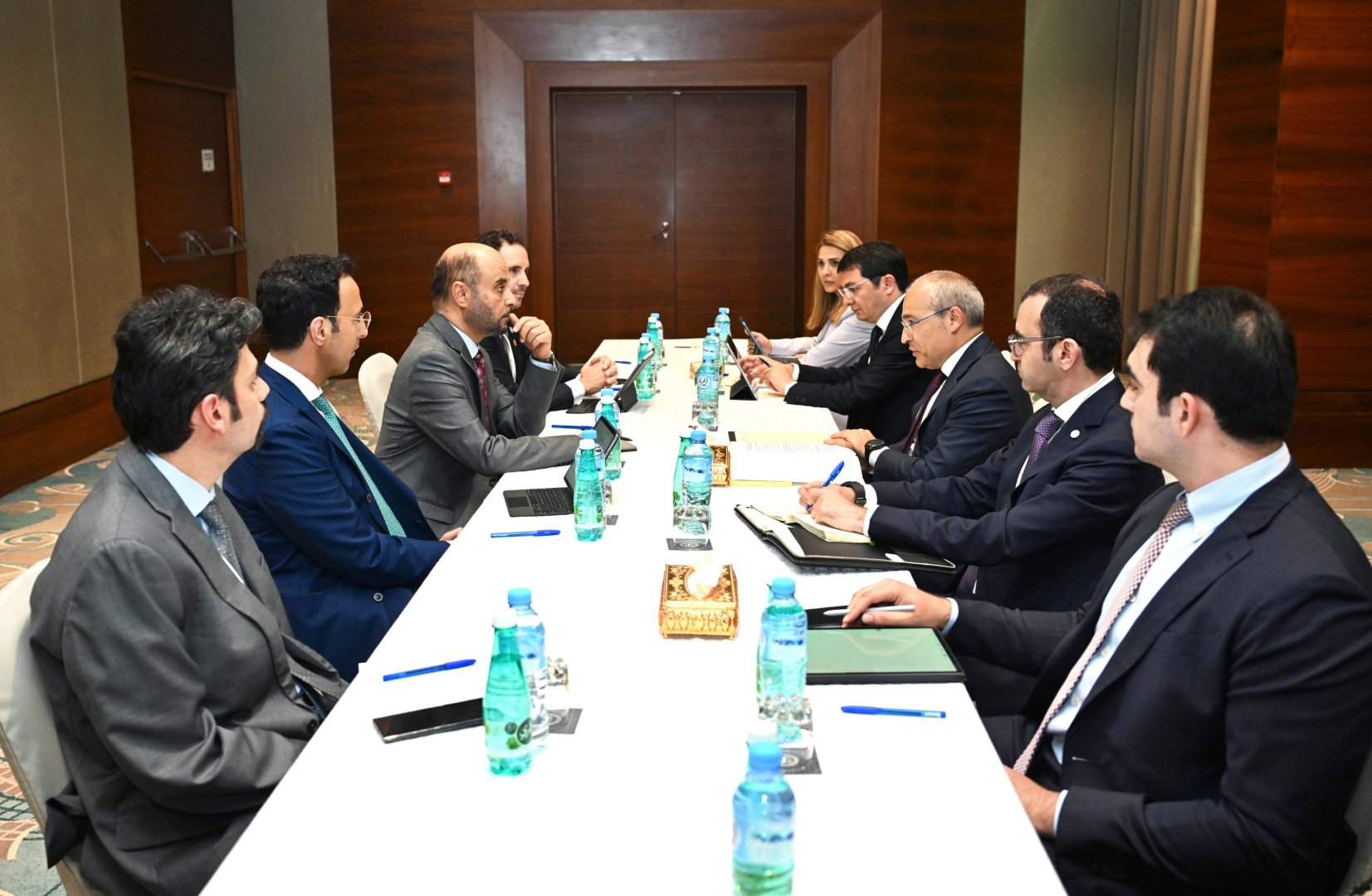 Azərbaycan OPEC Fondu ilə infrastruktur layihələrində birgə fəaliyyəti müzakirə edib