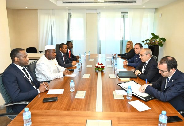 Azərbaycan Qvineya ilə investisiya üzrə fəaliyyət imkanlarını müzakirə edib (FOTO)