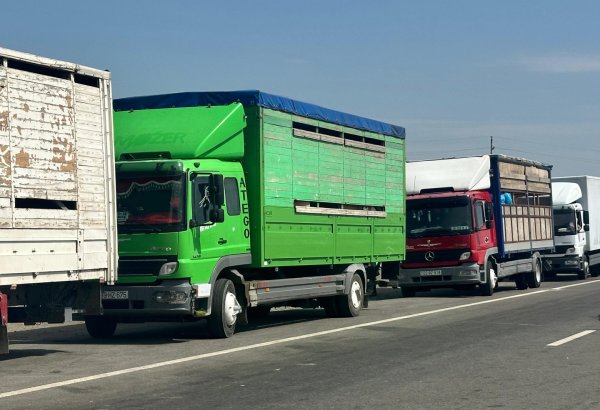 Xocalıya növbəti köç karvanı yola salınıb