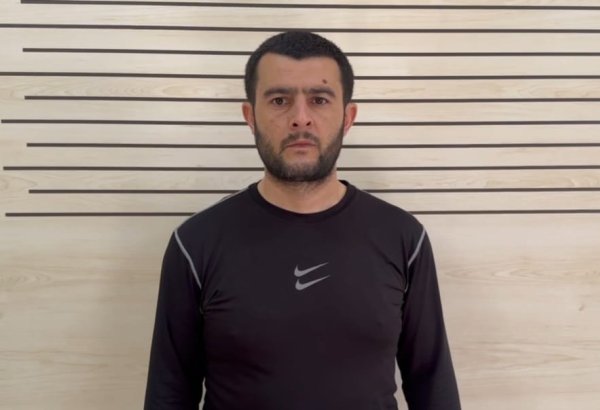 Masallıda 15 kiloqramdan artıq narkotik vasitə dövriyyədən çıxarılıb