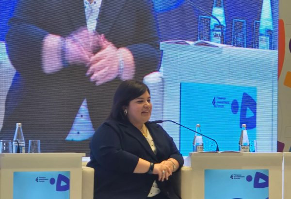 AMB rəsmisi investorların üzləşdiyi problemlərdən danışıb