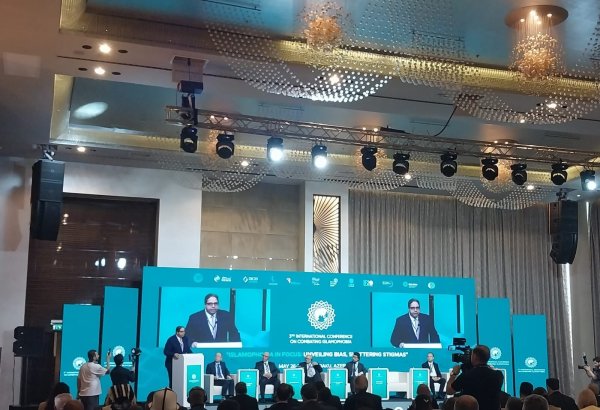 İslamofobiya problemi qlobal xarakter daşıyır - Almaniyanın Müsəlman Mərkəzi şurasının sədri