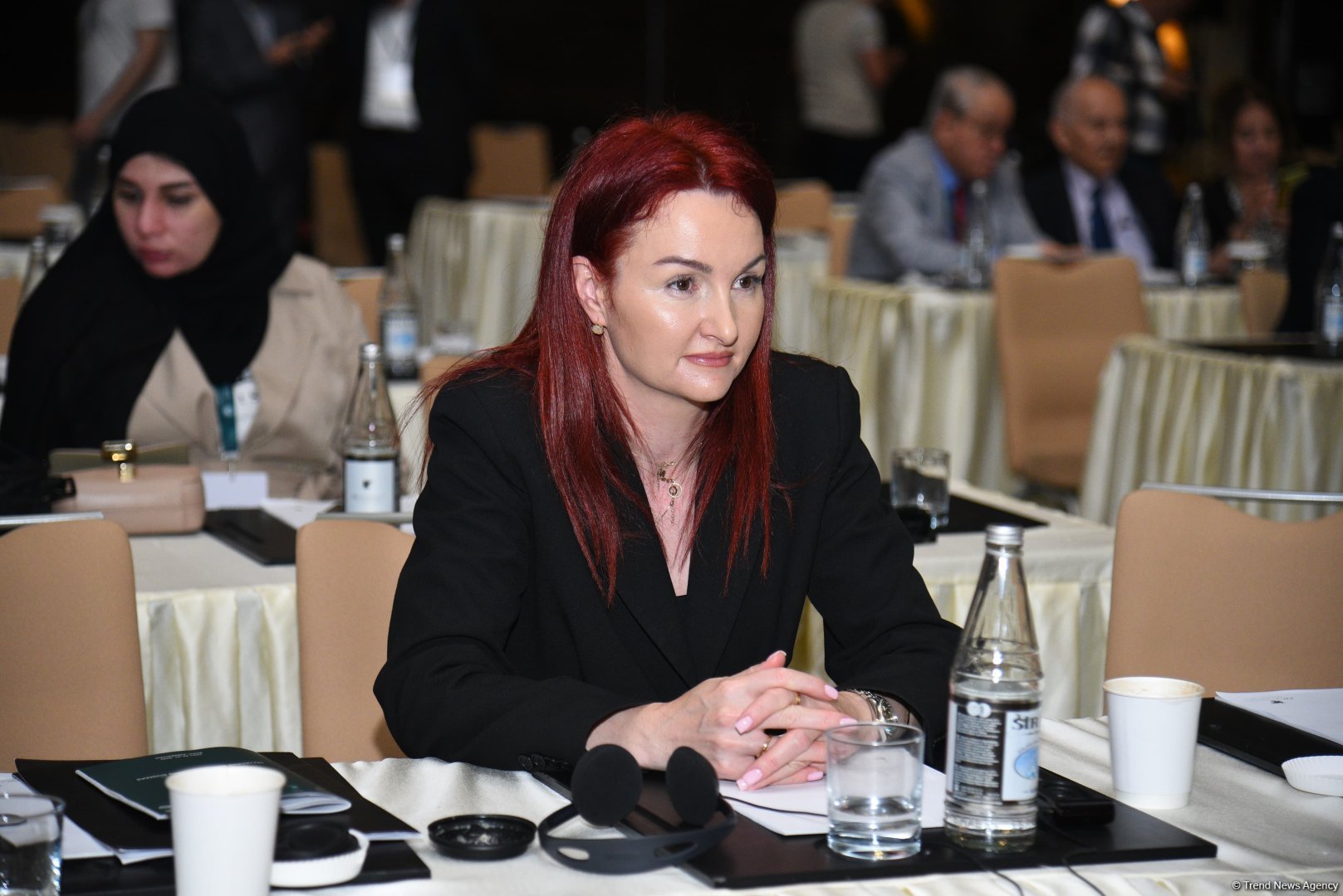 Bakıda “İslamofobiya: Qərəzin ifşası, stiqmaların dağıdılması” mövzusunda beynəlxalq konfransın ikinci günü başa çatıb (FOTO) (YENİLƏNİB)