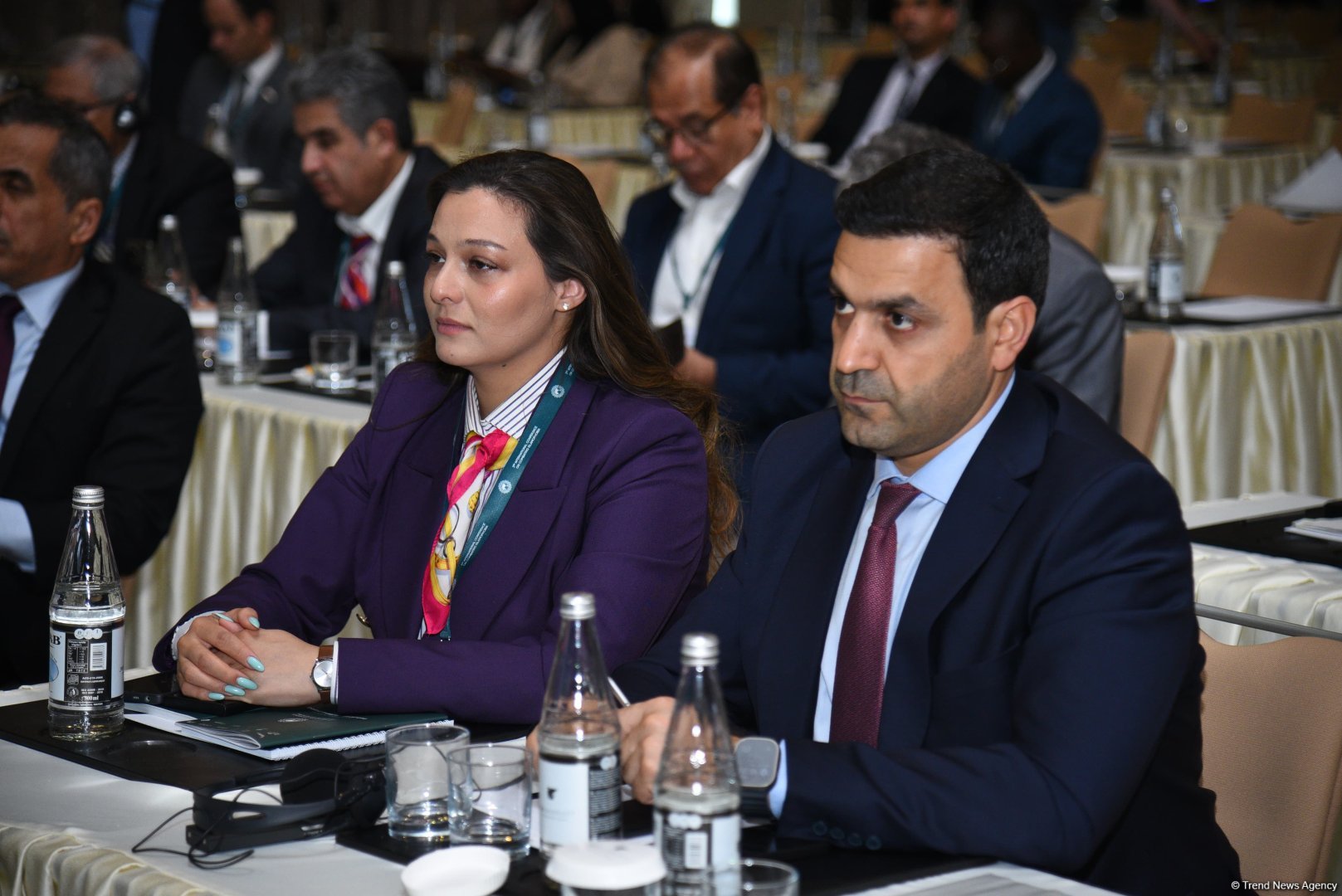 Bakıda “İslamofobiya: Qərəzin ifşası, stiqmaların dağıdılması” mövzusunda beynəlxalq konfransın ikinci günü başa çatıb (FOTO) (YENİLƏNİB)