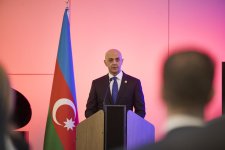 Azərbaycanın Müstəqillik Günü Strasburqda təntənəli şəkildə qeyd olunub (FOTO)