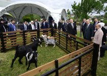 Prezident İlham Əliyev, Türkiyə Prezidenti və Pakistanın Baş naziri Laçın şəhərində seyrəngahda olublar (FOTO/VİDEO)