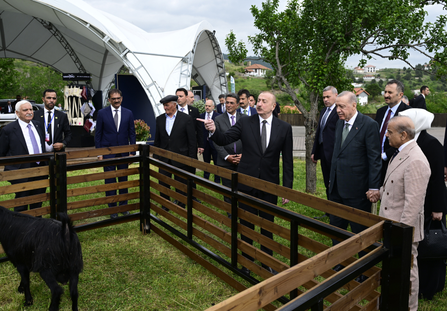 Prezident İlham Əliyev, Türkiyə Prezidenti və Pakistanın Baş naziri Laçın şəhərində seyrəngahda olublar (FOTO/VİDEO)