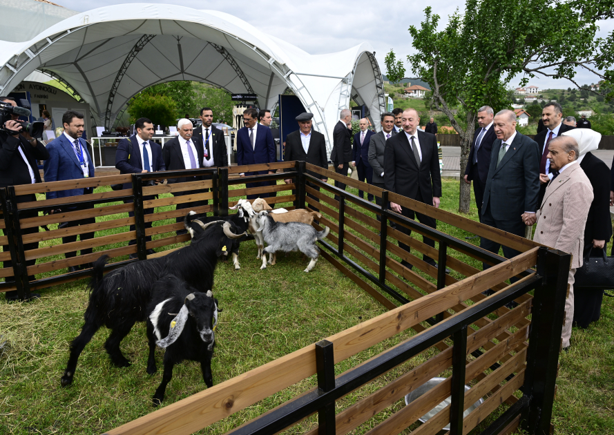 Prezident İlham Əliyev, Türkiyə Prezidenti və Pakistanın Baş naziri Laçın şəhərində seyrəngahda olublar (FOTO/VİDEO)