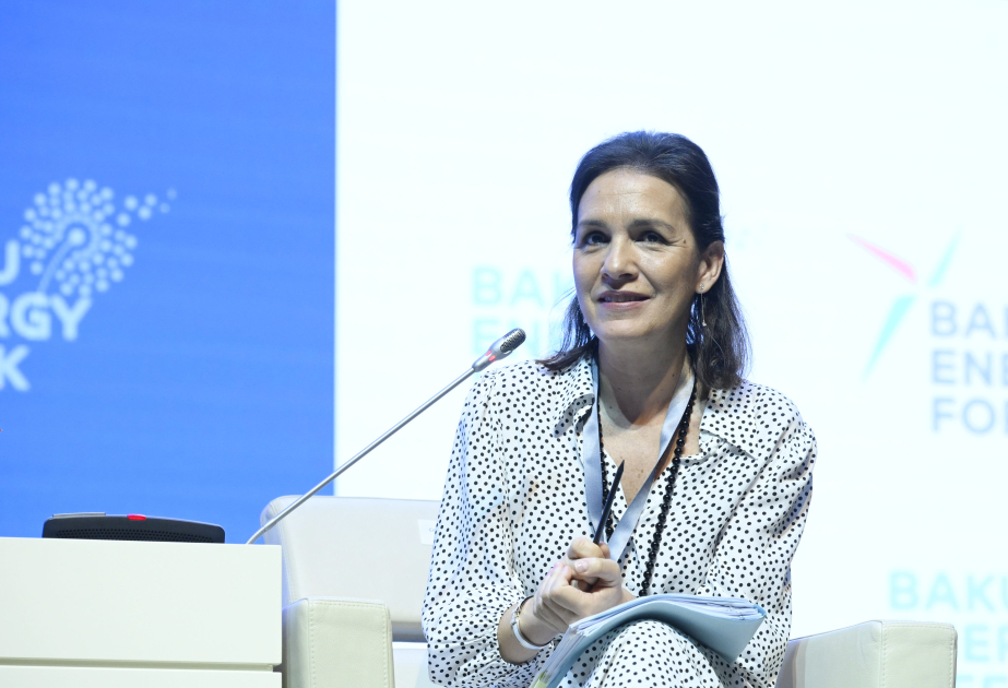 Avropa Komissiyasının Enerji üzrə Baş İdarəsinin direktoru Azərbaycana gəlir
