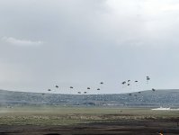 "Erciyes - 2025” təlimində "Yüksək Səviyyəli Müşahidəçi Günü" keçirilib (FOTO)