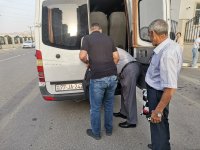 Laçın