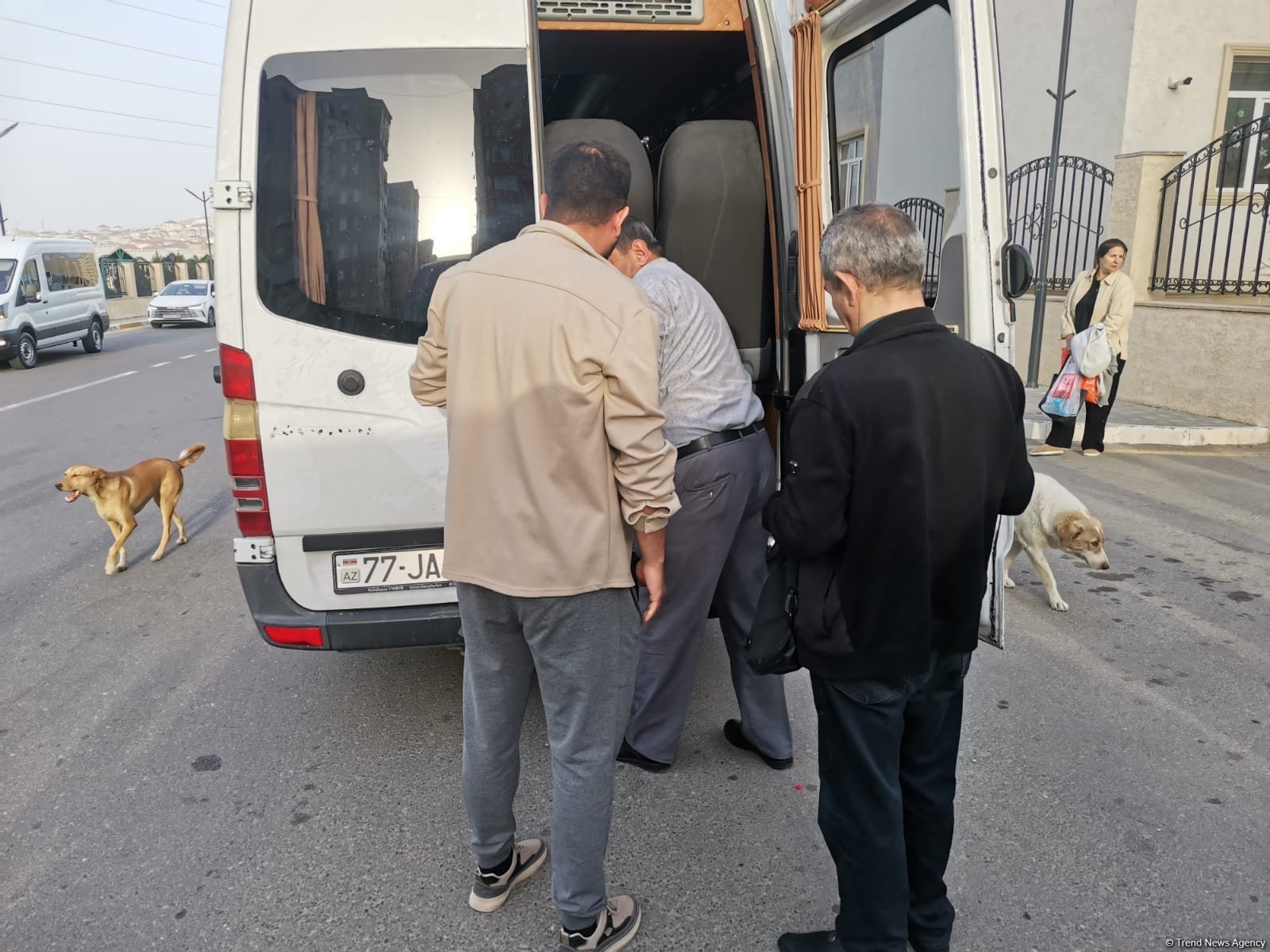 Laçın