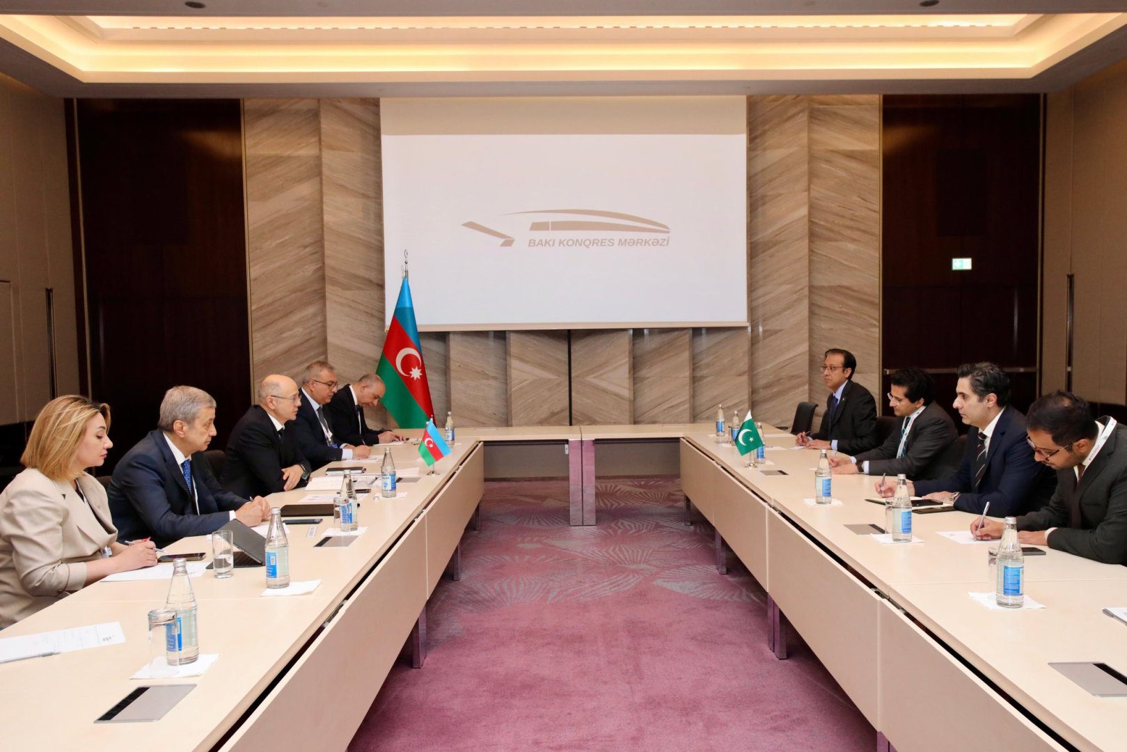 Azərbaycanla Pakistan arasında enerji sahəsində əməkdaşlıq perspektivləri müzakirə edilib (FOTO)