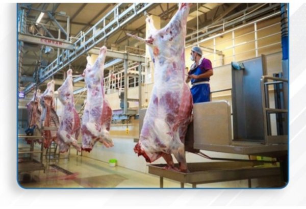 Qurbanlıq heyvanların satışı və kəsimi xidmətləri göstəriləcək ünvanların siyahısı açıqlanıb