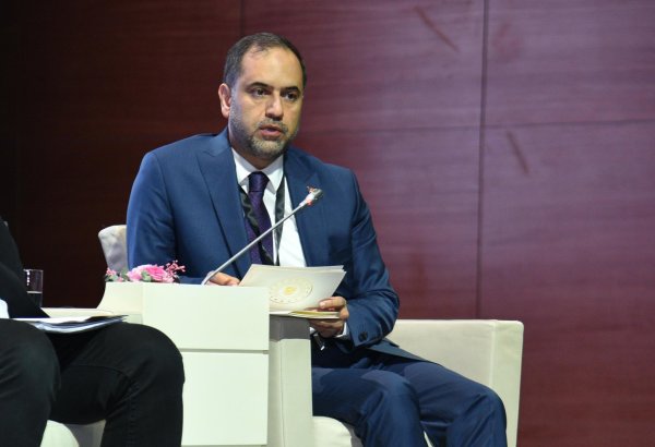 Türkiyə bərpa olunan enerji mənbələrinin inkişafına irimiqyaslı investisiyalar yönləndirməyi planlaşdırır - Nazir müavini