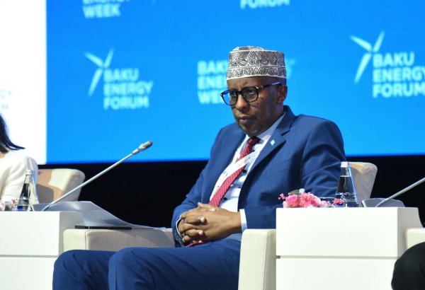 Somali "yaşıl" enerji sahəsində Azərbaycanla əməkdaşlığı genişləndirmək niyyətindədir - Nazir